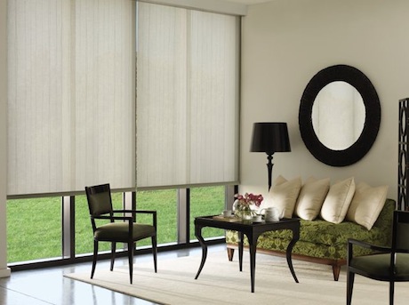 Living Room Roller Shades by Hunter Douglas